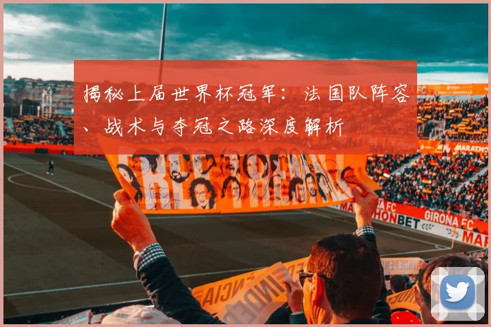 揭秘上届世界杯冠军：法国队阵容、战术与夺冠之路深度解析