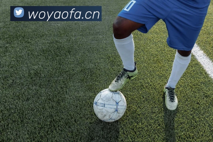 App Interface Preview